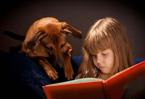 laboratorio di lettura con cane