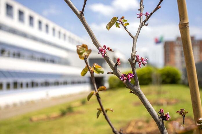 palazzo di giustizia viterbo verso la giornata della legalità