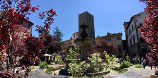 san pellegrino in fiore - piazza del gesù