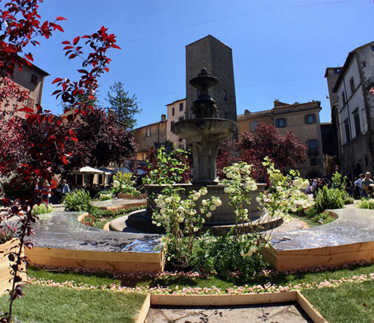 san pellegrino in fiore - piazza del gesù