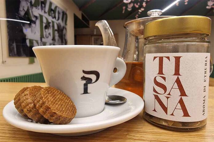 tisana-ghiande-parco-delle-querce