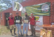 1 classificato