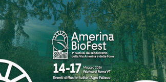 Amerina BioFest 2026: la prima edizione del festival diffuso del Biodistretto della Via Amerina e delle Forre