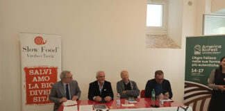 Amerina BioFest: 14 comuni del Biodistretto insieme in un laboratorio vivo di esperienze, incontri e narrazioni territoriali