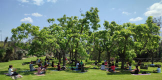 All’Orto Botanico di Viterbo torna “Aromataria”, la manifestazione di primavera giunta alla quinta edizione Aromataria