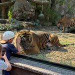 Bioparco di Roma