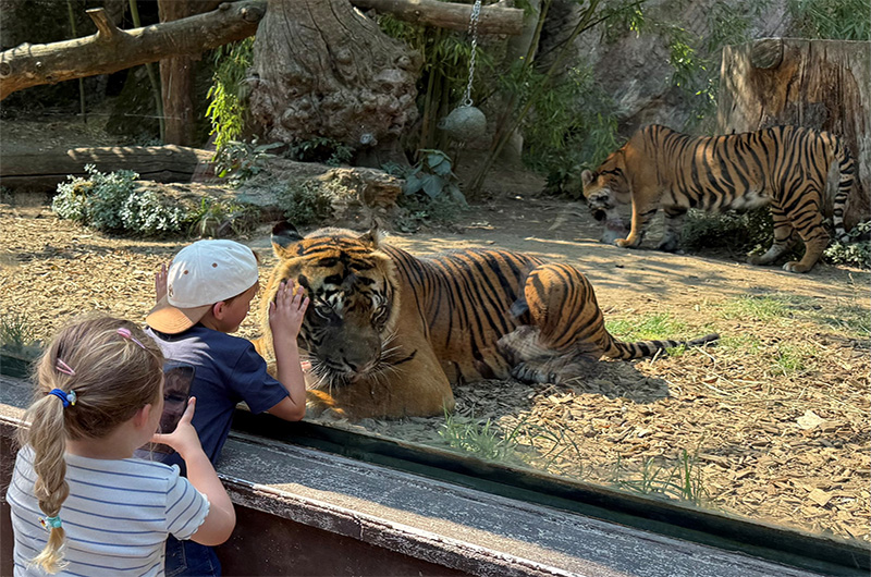 Bioparco di Roma