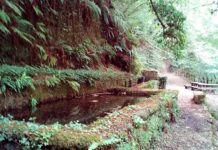 Cammino dei 3 Villaggi-Tuscia Nascosta Escursioni