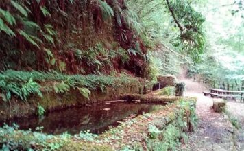Il Cammino dei 3 Villaggi, andata e ritorno da Villa San Giovanni in Tuscia a Blera passando per Barbarano Romano Cammino dei 3 Villaggi-Tuscia Nascosta Escursioni