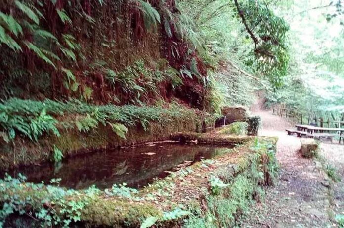 Cammino dei 3 Villaggi-Tuscia Nascosta Escursioni Cammino dei 3 Villaggi-Tuscia Nascosta Escursioni