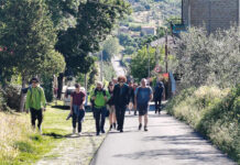 Destinazione Orvieto