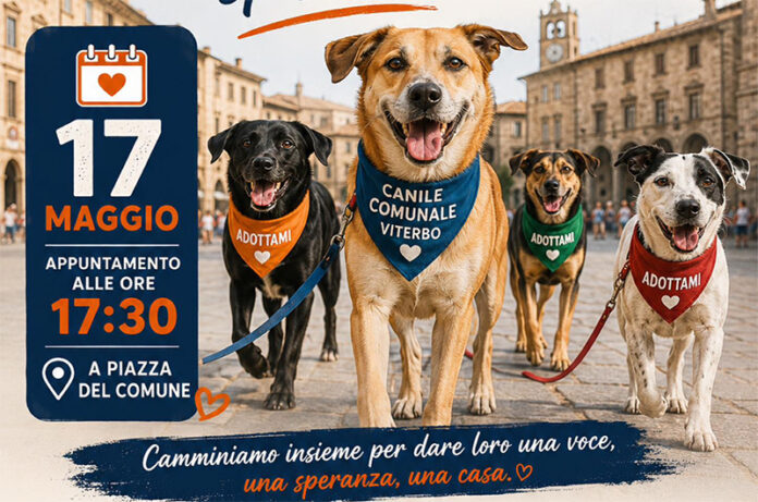 I cani del canile comunale