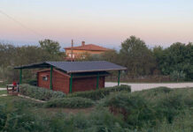 Passione Gatti-rifugio a Canepina