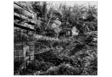 'Un paesaggio ritrovato. Fotografare Fosso Luparo' - mostra di Francesco Galli