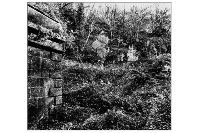 'Un paesaggio ritrovato. Fotografare Fosso Luparo' - mostra di Francesco Galli 'Un paesaggio ritrovato. Fotografare Fosso Luparo' - mostra di Francesco Galli