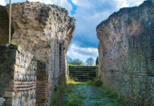 Visita a Bolsena tra le sue mura medioevali, Vulsini città trusca, e giardini fioriti