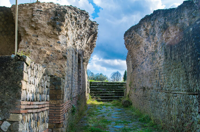 Vulsini