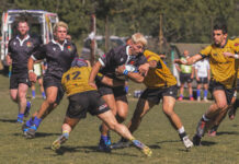 lions rugby