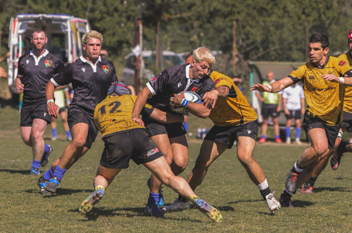 lions rugby