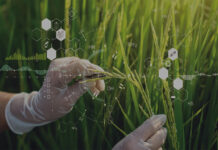 Tecniche di Evoluzione Assistita, Abaco Lazio: “Il Parlamento Europeo tradisce la salute pubblica e il diritto a una cibo sano” Abaco Lazio