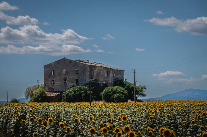 Altopiano dell'Alfina scatto di Angelo Bruno Altopiano dell'Alfina scatto di Angelo Bruno
