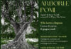 Arbori e Pomi-mostra