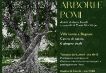 Arbori e Pomi-mostra