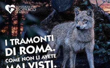 Il Bioparco al tramonto:prolungamento orario straordinario fino alle 21.30