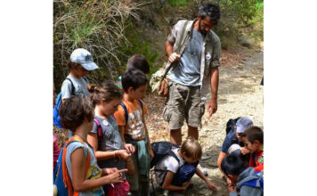 Campi Natura, una settimana in tenda alla Riserva Naturale Monte Rufeno per adolescenti dai 10 ai 16 anni Campi Natura