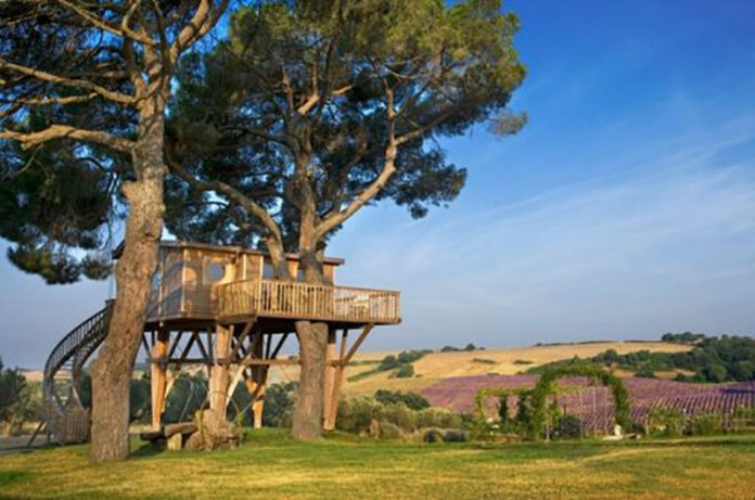 Casa-tra-i-Pini-514x343 Casa-tra-i-Pini-514x343