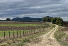 Transizione energetica o “finto agrivoltaico”? Il mega impianto della Tuscia e il silenzio del Ministero Immagine tratta dal progetto della Centrale Solare