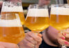 Agricoltura: Dalle trebbie di birra nuovi alimenti grazie all’economia circolare