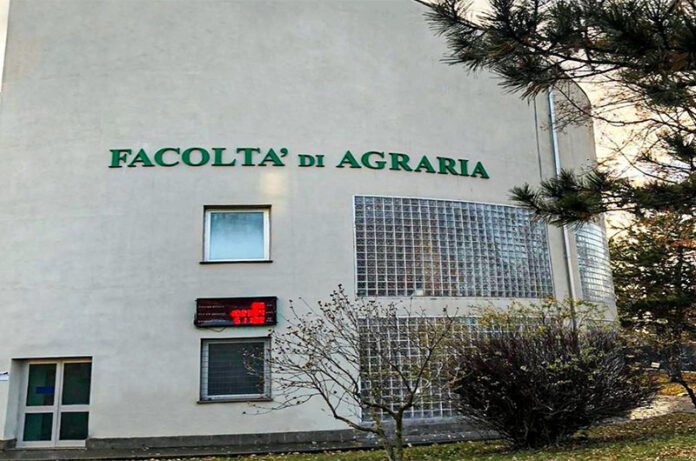 Università della Tuscia