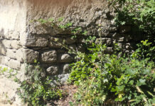 Villa Lante/2: il degrado oltre il giardino Villa Lante-il degrado oltre il giardino
