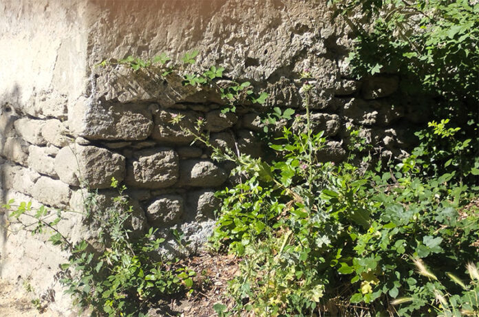 Villa Lante-il degrado oltre il giardino