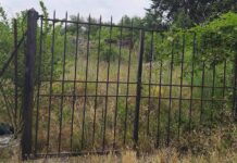 erba alta a Tuscania