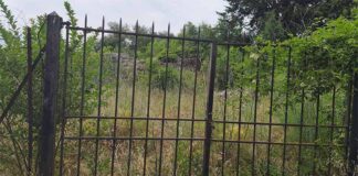 erba alta a Tuscania
