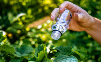 La Cooperativa Produttori Nocciole dà il via al potenziamento della lotta biologica alla cimice asiatica lotta biologica alla cimice asiatica