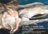 Il festival Ad Arte torna a Palazzo Sforza di Proceno, dove teatro e musica s’incontrano per dare forma a nuove possibilità di senso AD ARTE-2026