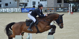 Equitazione: Gualtiero Nepi si conferma campione regionale Young Riders di salto ostacoli