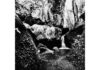 Immagine Francesco Galli copia