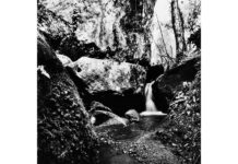 Immagine Francesco Galli copia