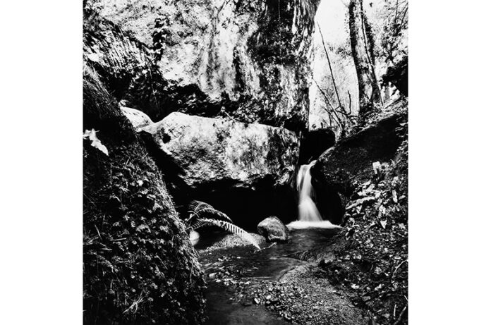 Immagine Francesco Galli copia