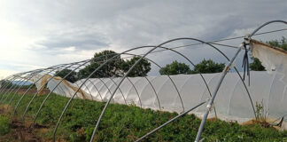 Maltempo nella Tuscia