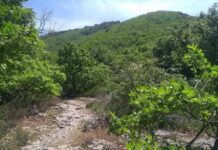 Escursione serale sul Monte San Valentino a Bagnaia Monte San Valentino