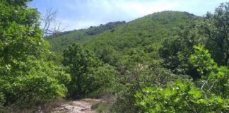 Escursione serale sul Monte San Valentino a Bagnaia Monte San Valentino