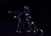 Pasolini- Mandala Dance Company - dimensioni grandi