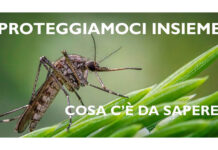 Virus West Nile, la Asl di Viterbo rilancia la campagna “Proteggiamoci insieme” Proteggiamoci insieme