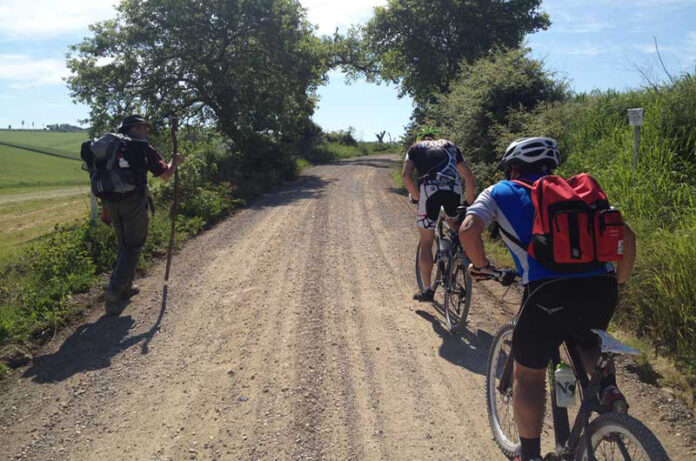 VIAGGIARE-IN-BICI_via-francigena_gallery-10