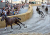 corse a vuoto ronciglione foto enrico barbini week